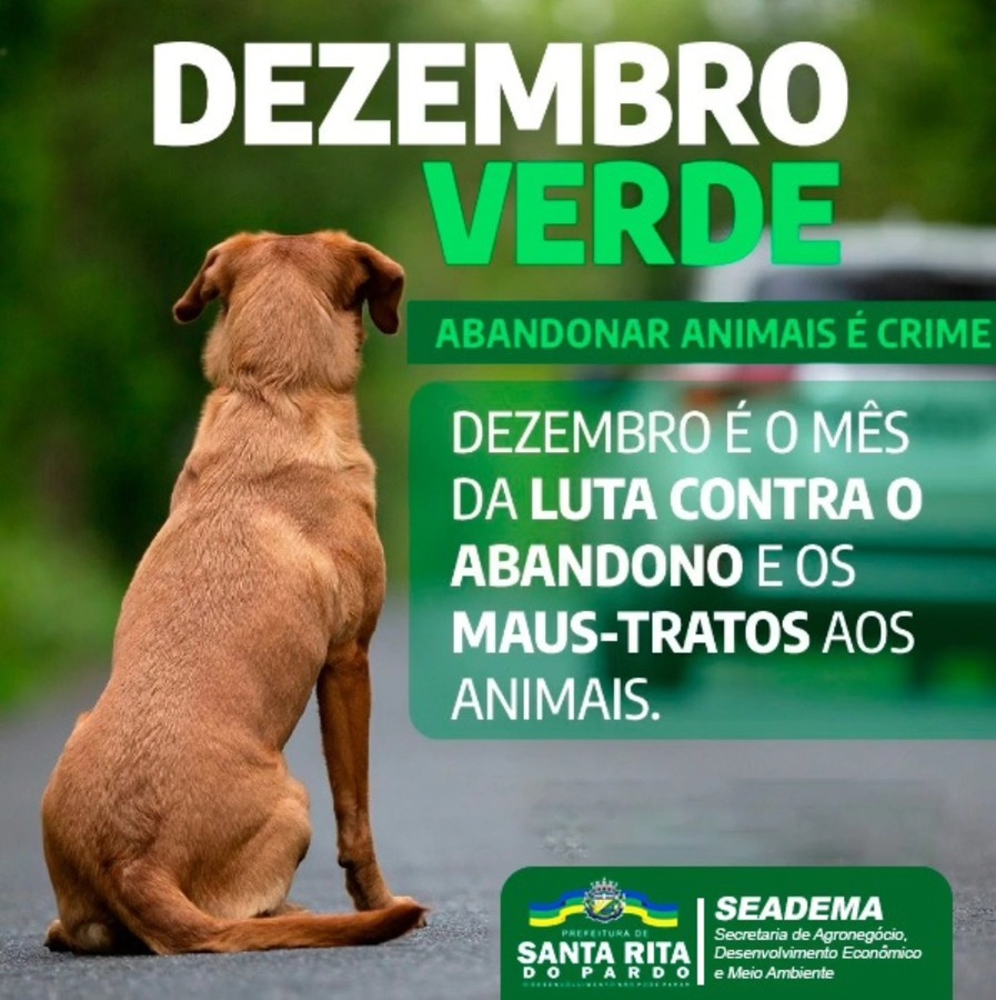 Center 594058703 1144801427866292 5568075737663665861 n