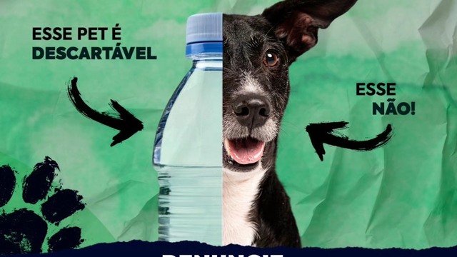 Thumb 595481700 1146081427738292 9001818572597455783 n